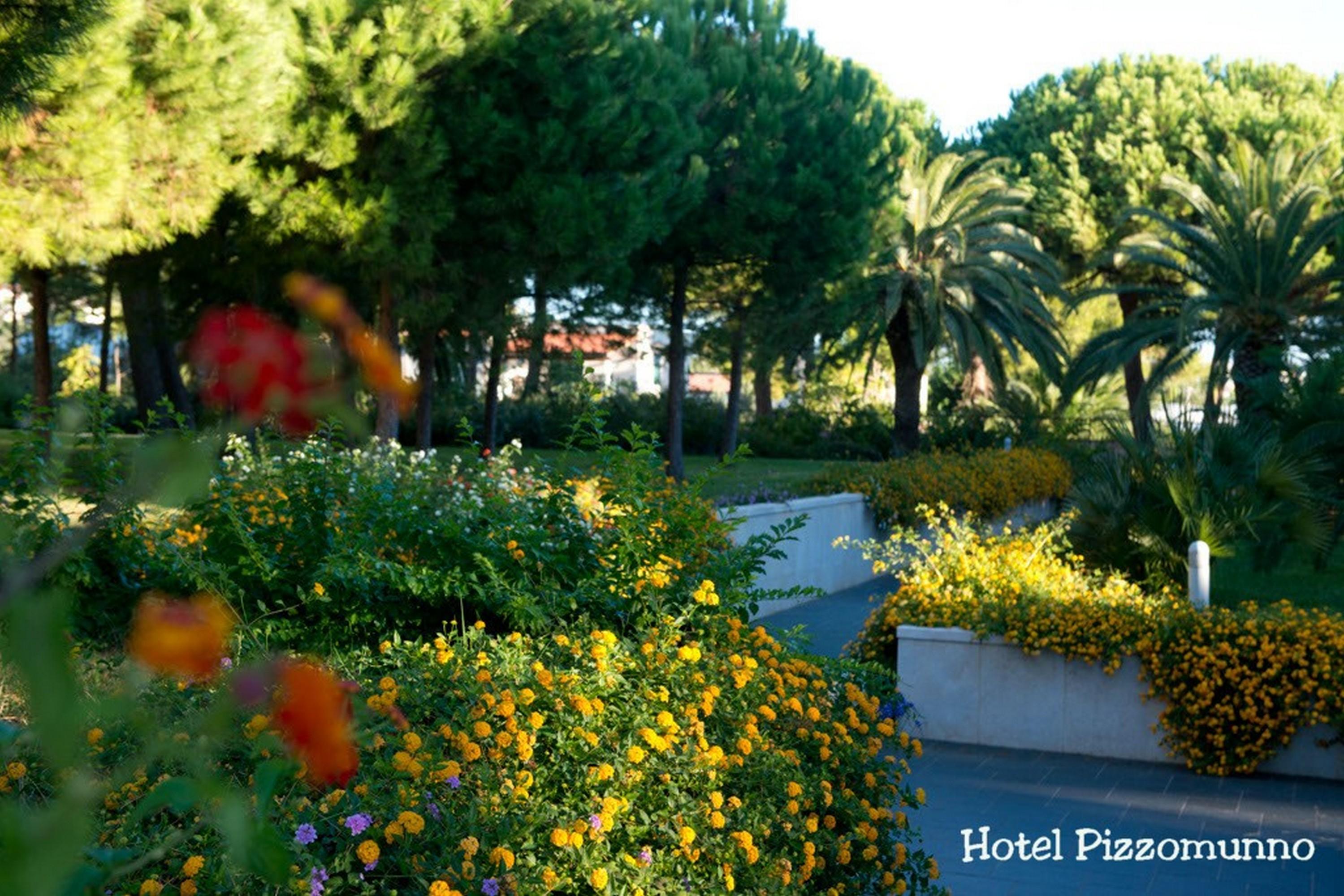 Pizzomunno Vieste Palace Hotel Esterno foto